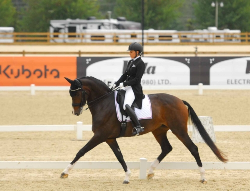 Success Story – Shelley Lawder