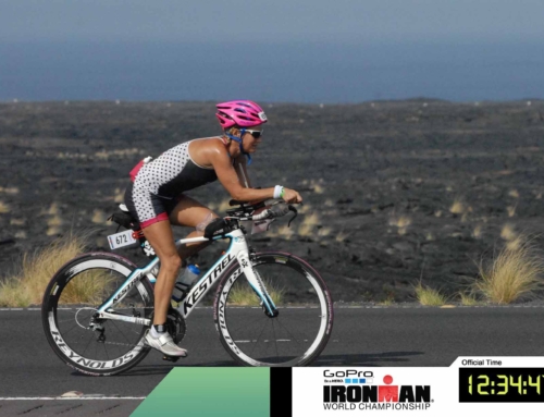 Success Story – Dianne Kaltenegger